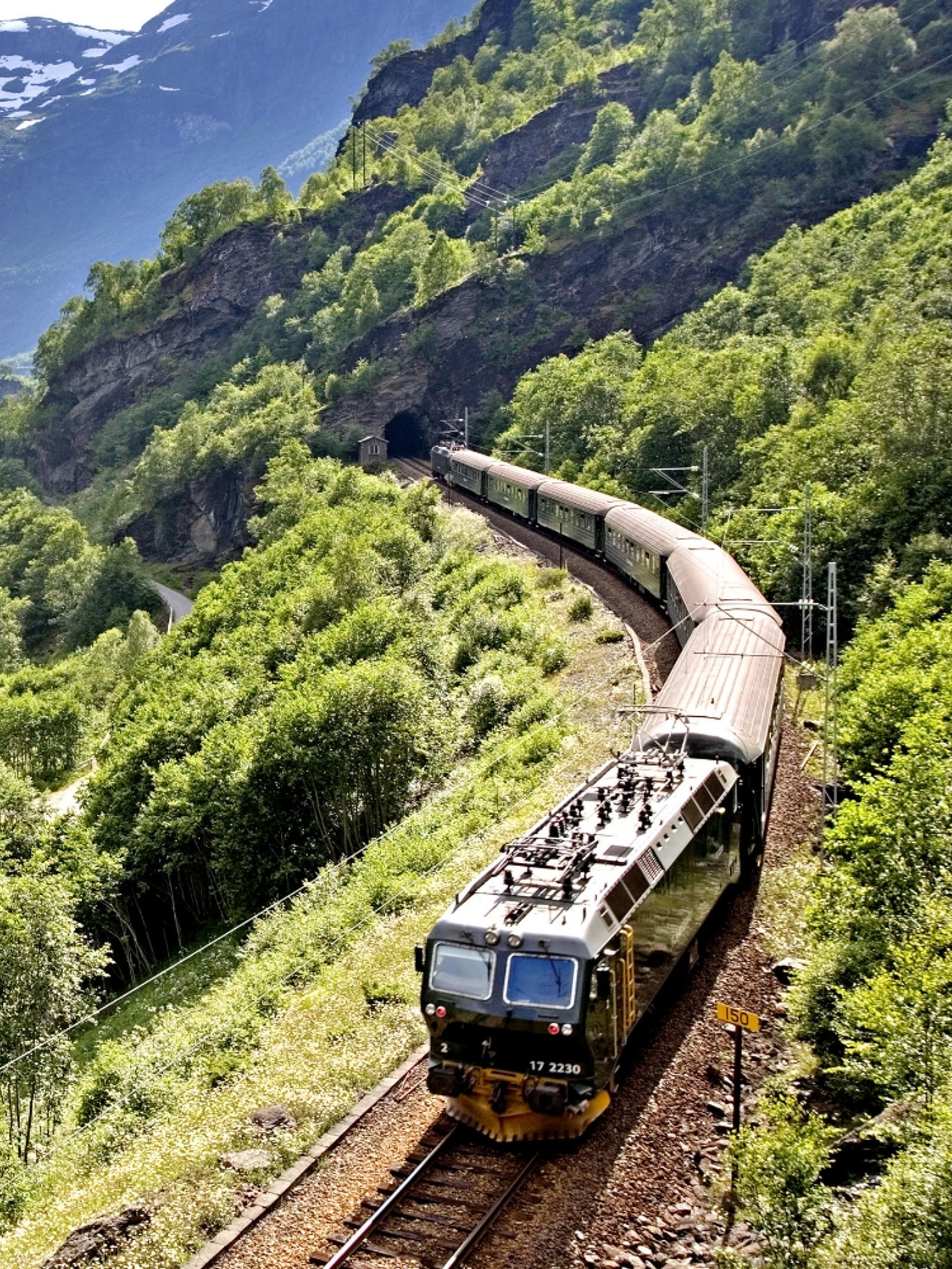 Et tog kjører på Flåmsbana gjennom en grønn og frodig dal