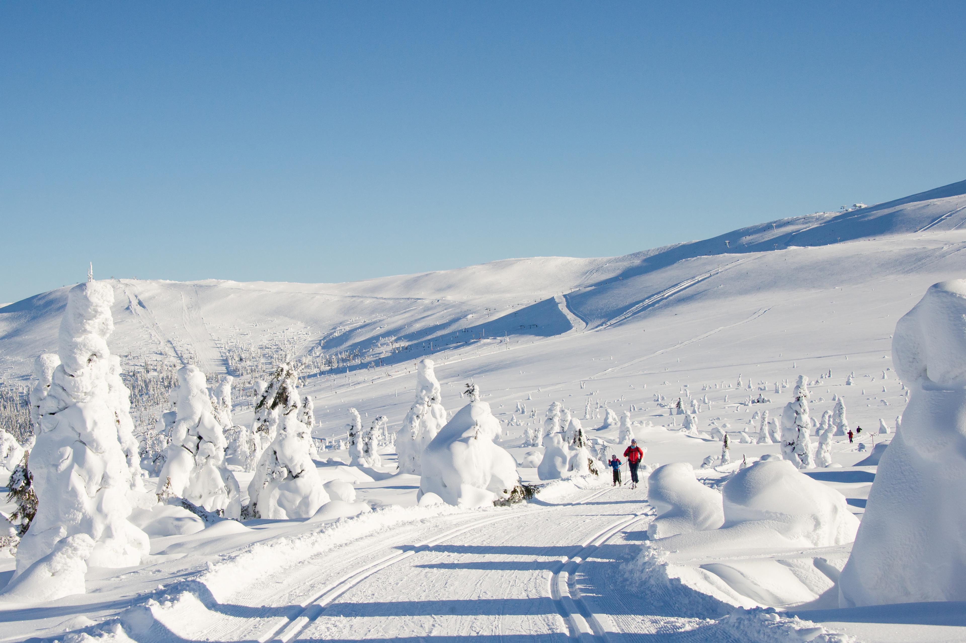 A mother and her child enjoy cross country skiing in the winter wonderland of Trysil, Eastern Norway