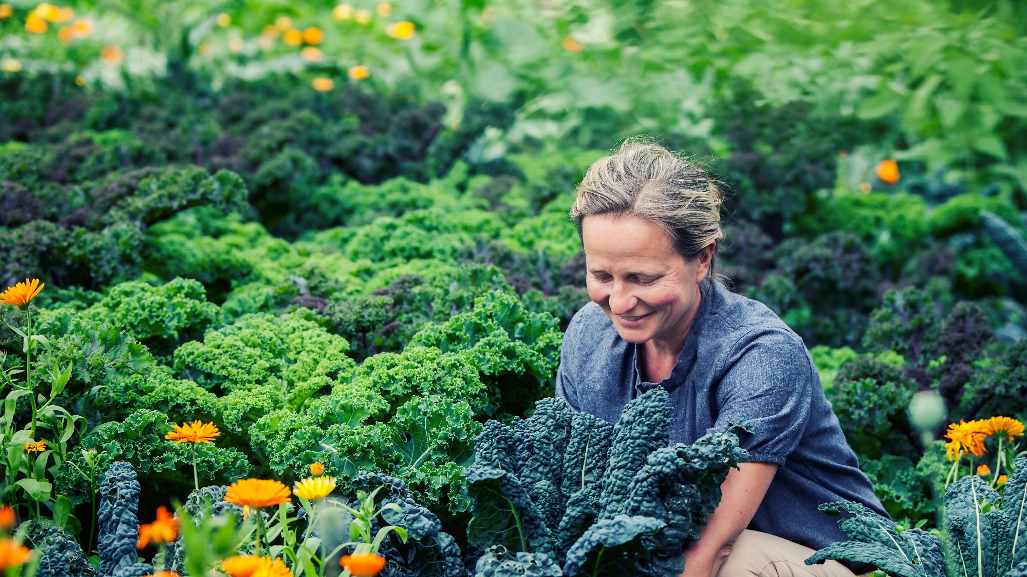 A woman working in the kitchen garden at Hovelsrud Farm on the island of Helgøya