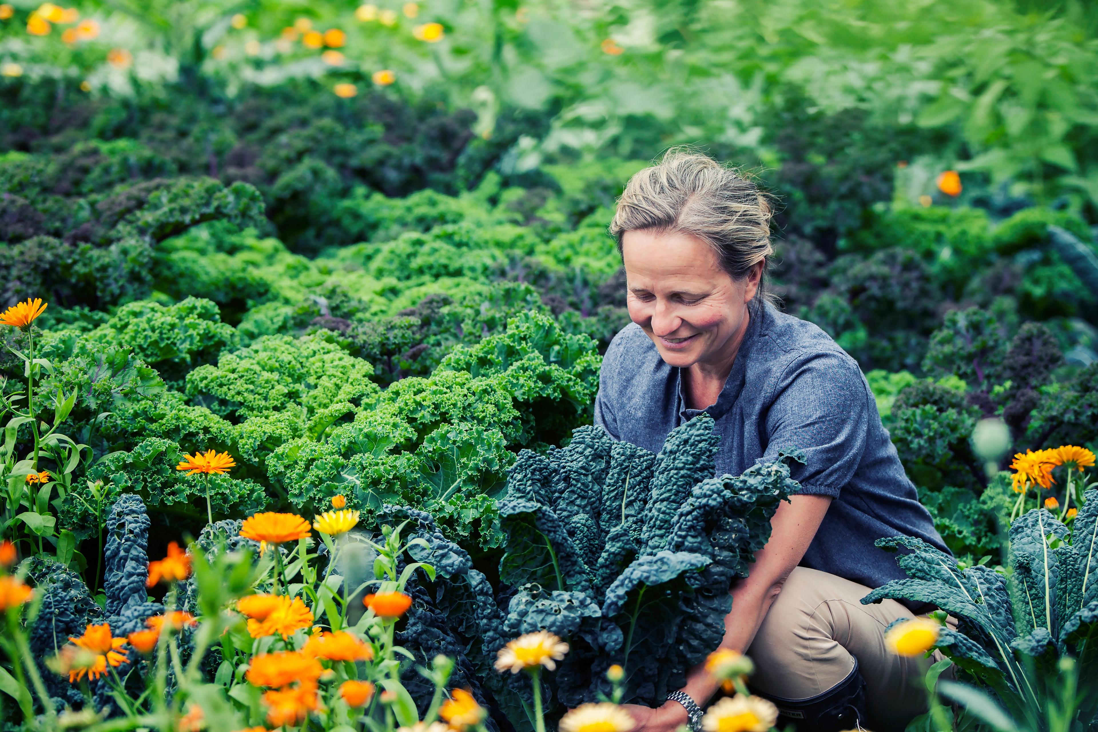 A woman working in the kitchen garden at Hovelsrud Farm on the island of Helgøya