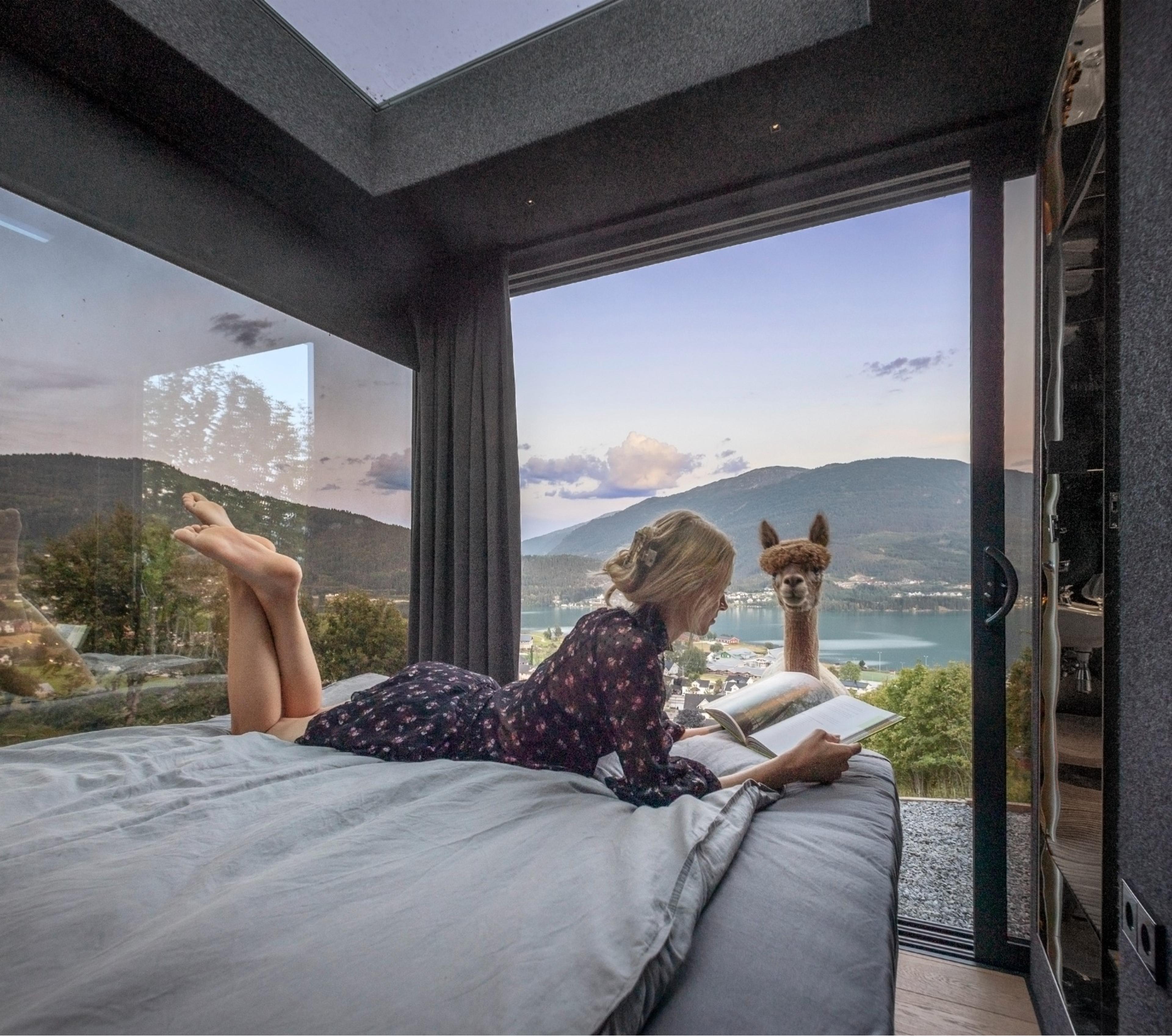 A women inside a glass house with an alpaca outside.