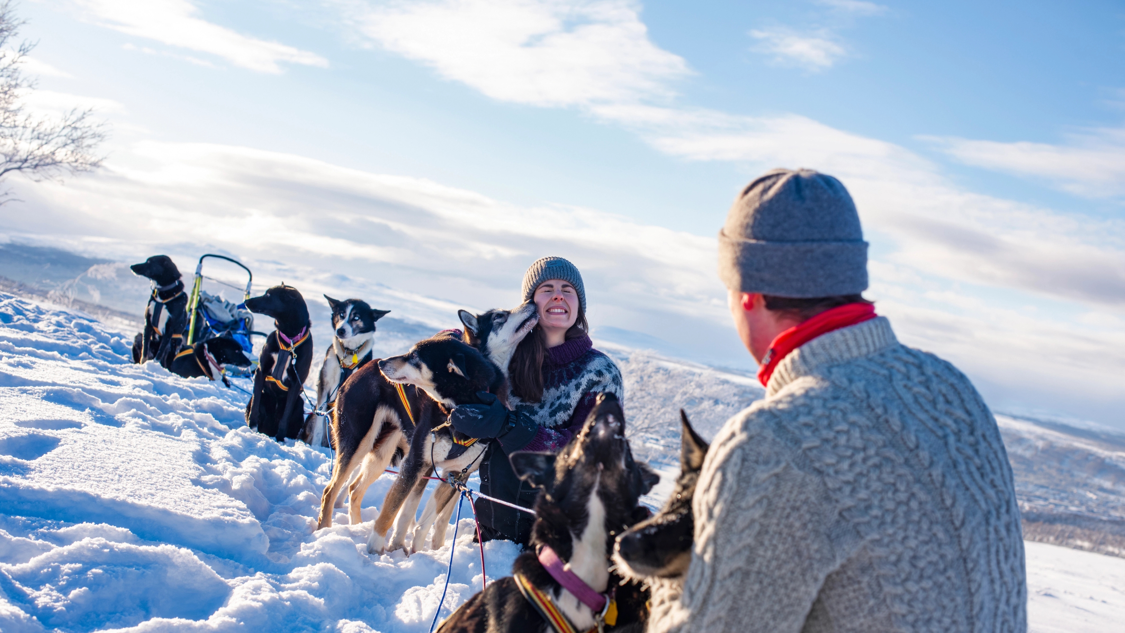Two people cuddling with sled dogs