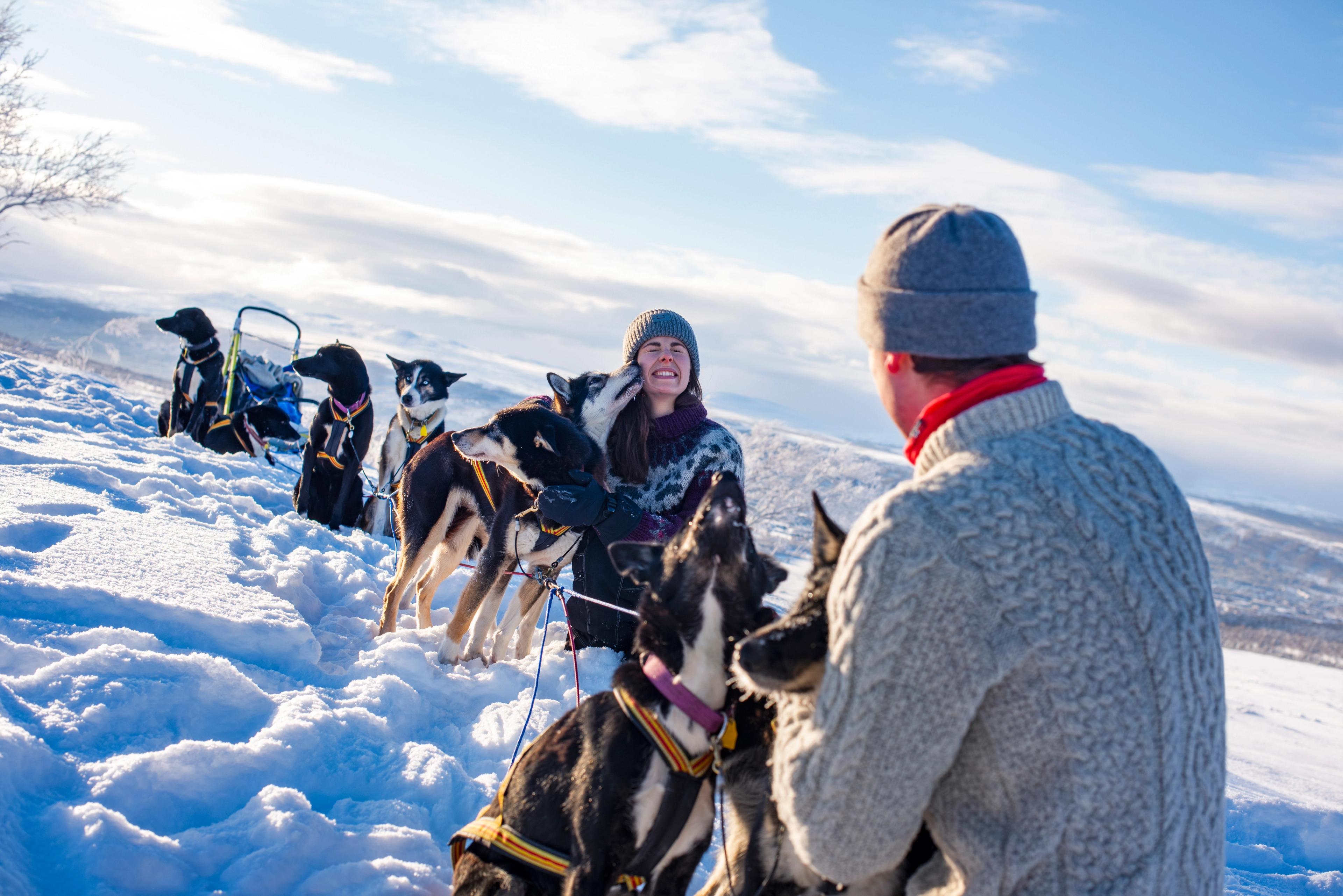 Two people cuddling with sled dogs