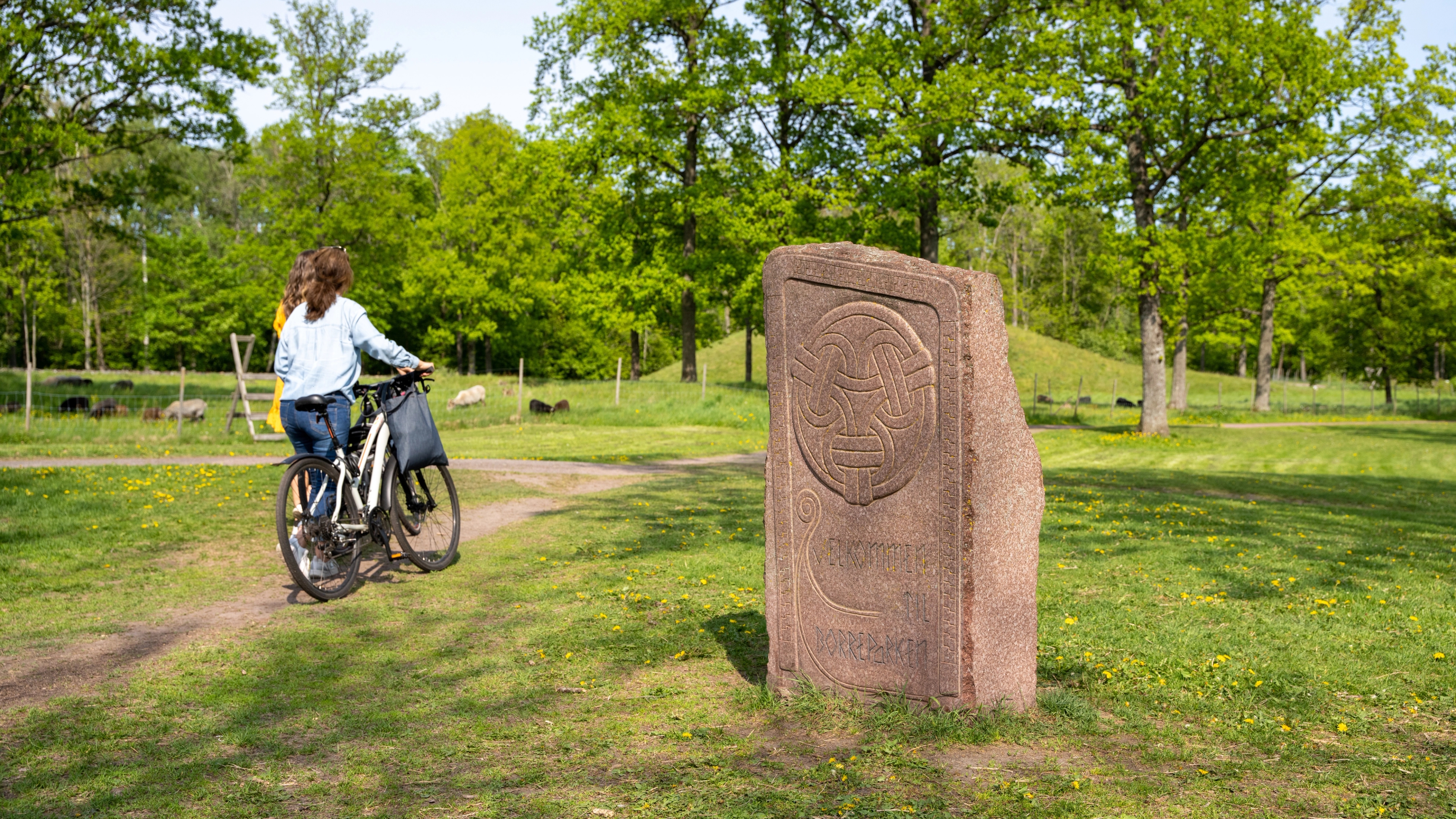 Two women walking between Viking burial mounds at Borre, in Vestfold
