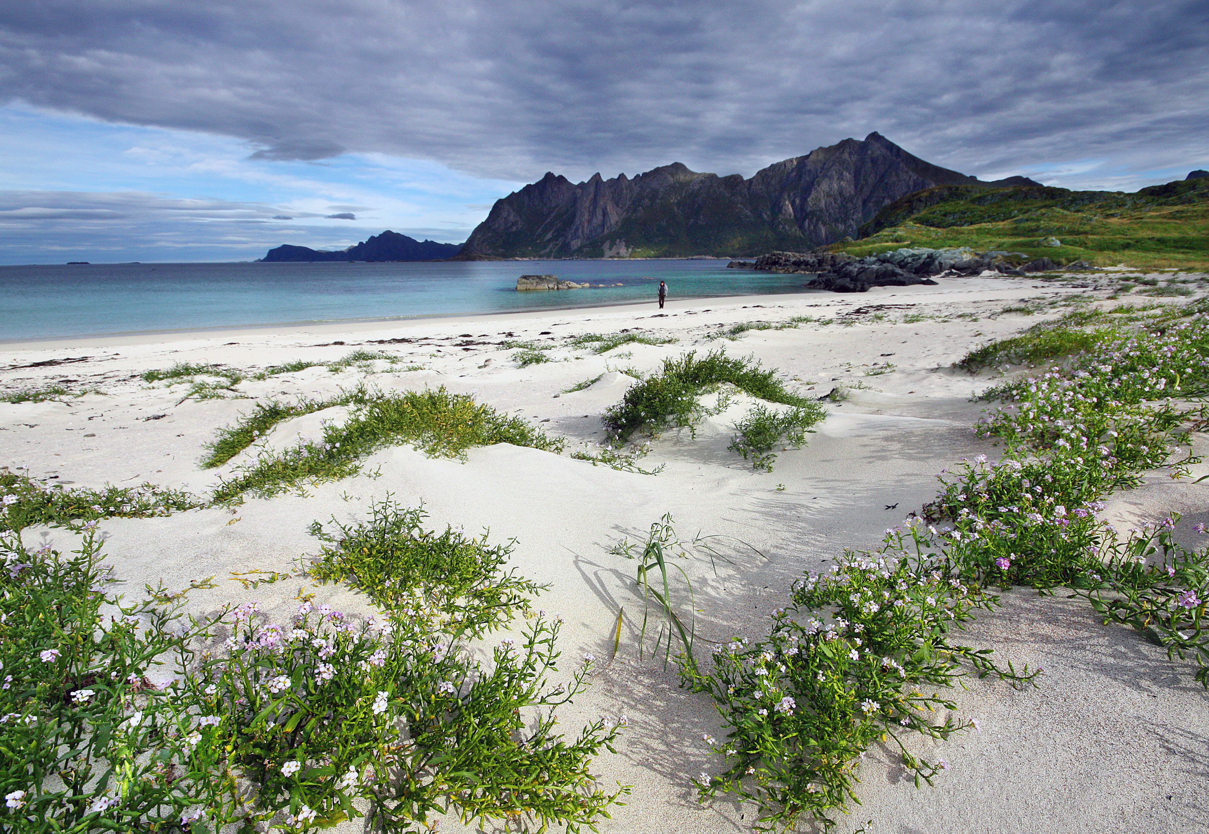 A person on the beach by the fishing village Hovden in Bø in Vesterålen, Northern Norway