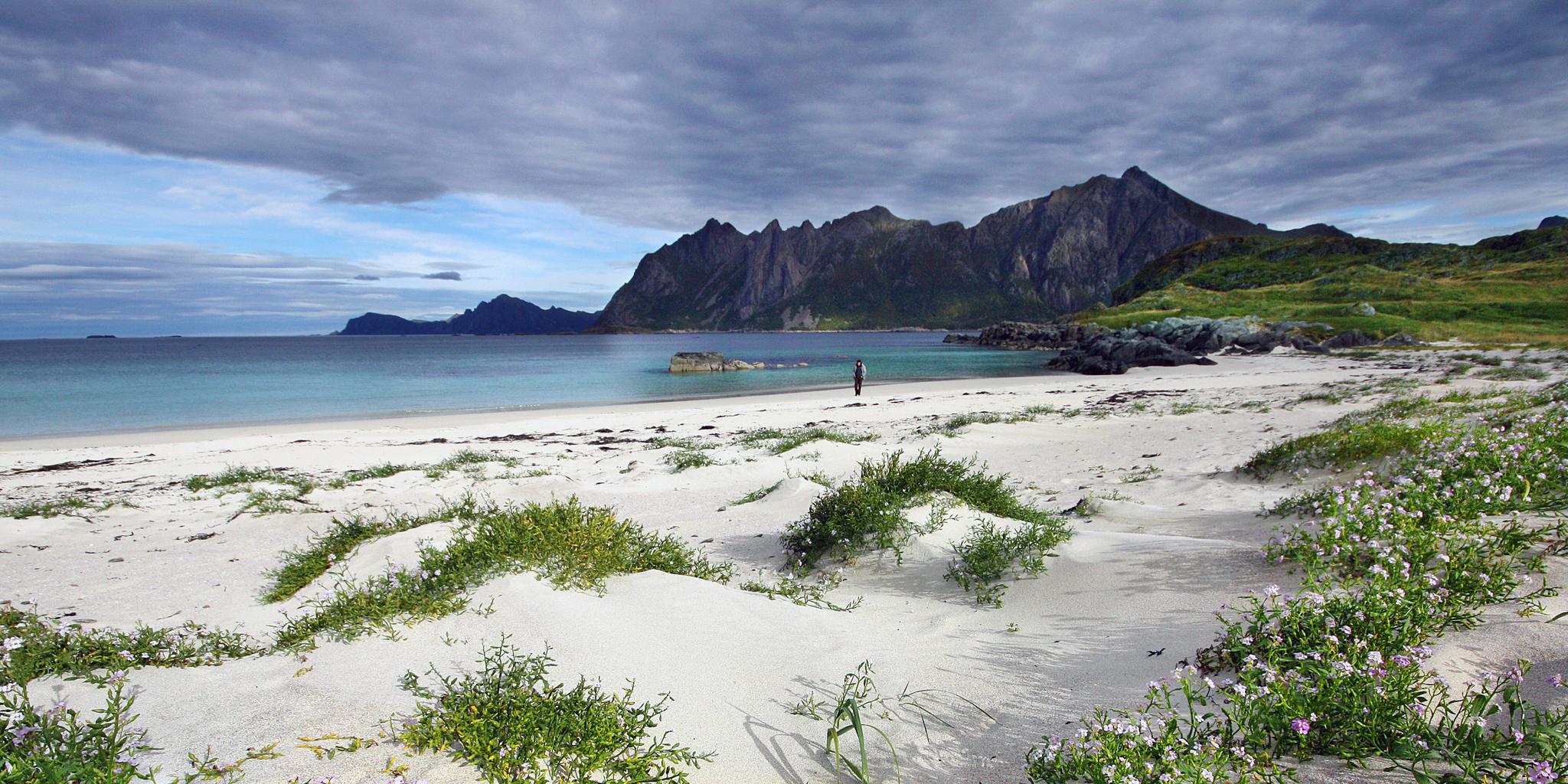 A person on the beach by the fishing village Hovden in Bø in Vesterålen, Northern Norway