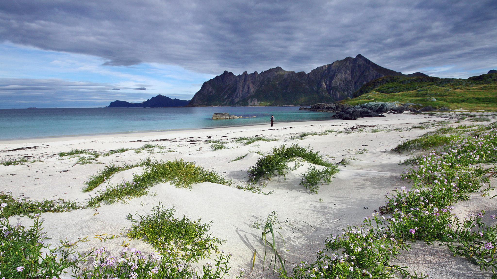 A person on the beach by the fishing village Hovden in Bø in Vesterålen, Northern Norway