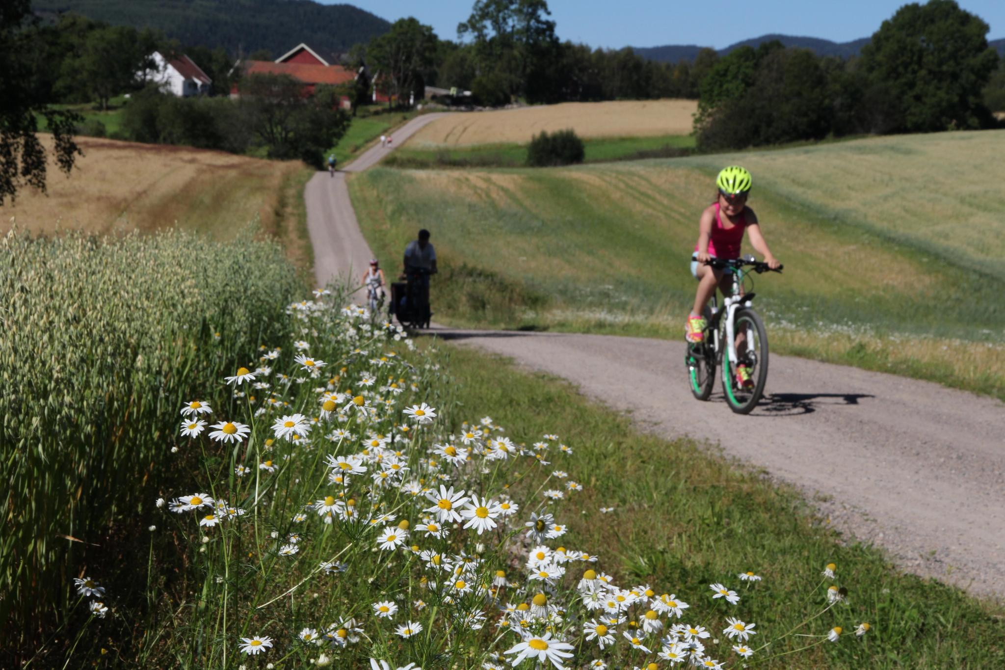 En person på cykel i Maridalen i Oslo, östra Norge