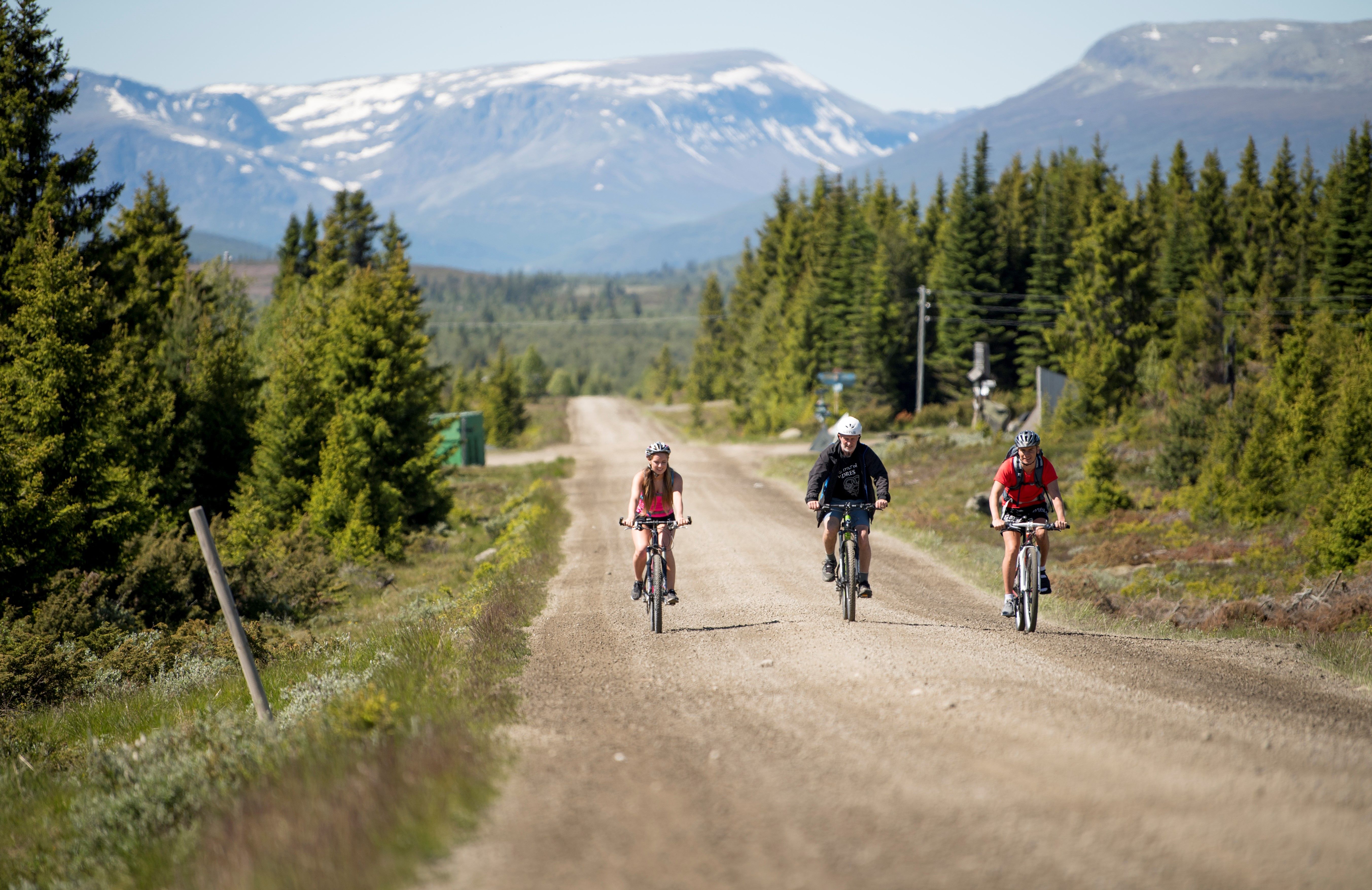 Radtour mit drei Personen auf Mjølkevegen in Valdres, Ostnorwegen