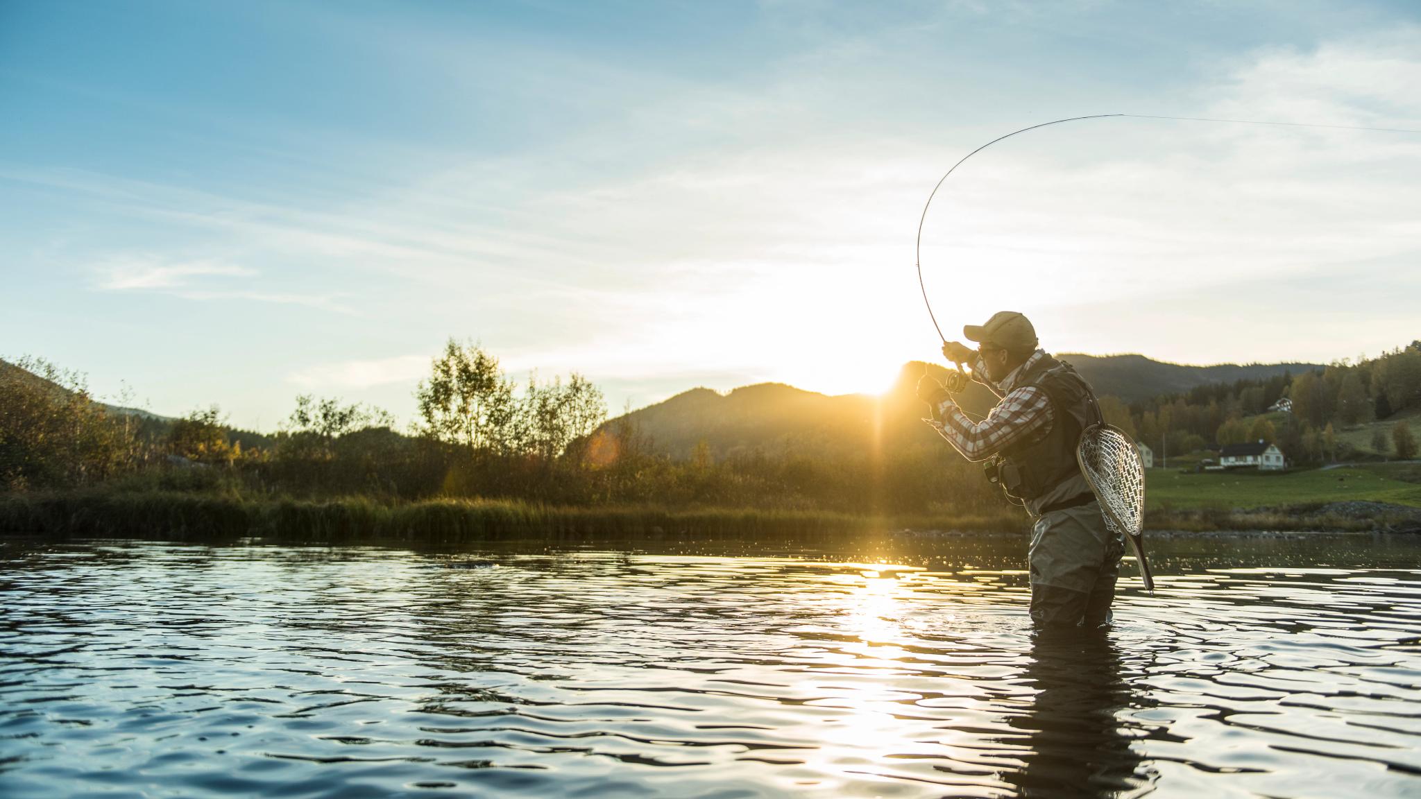 A man is fly fishing in the rivers of Ål in Hallingdal, Eastern Norway