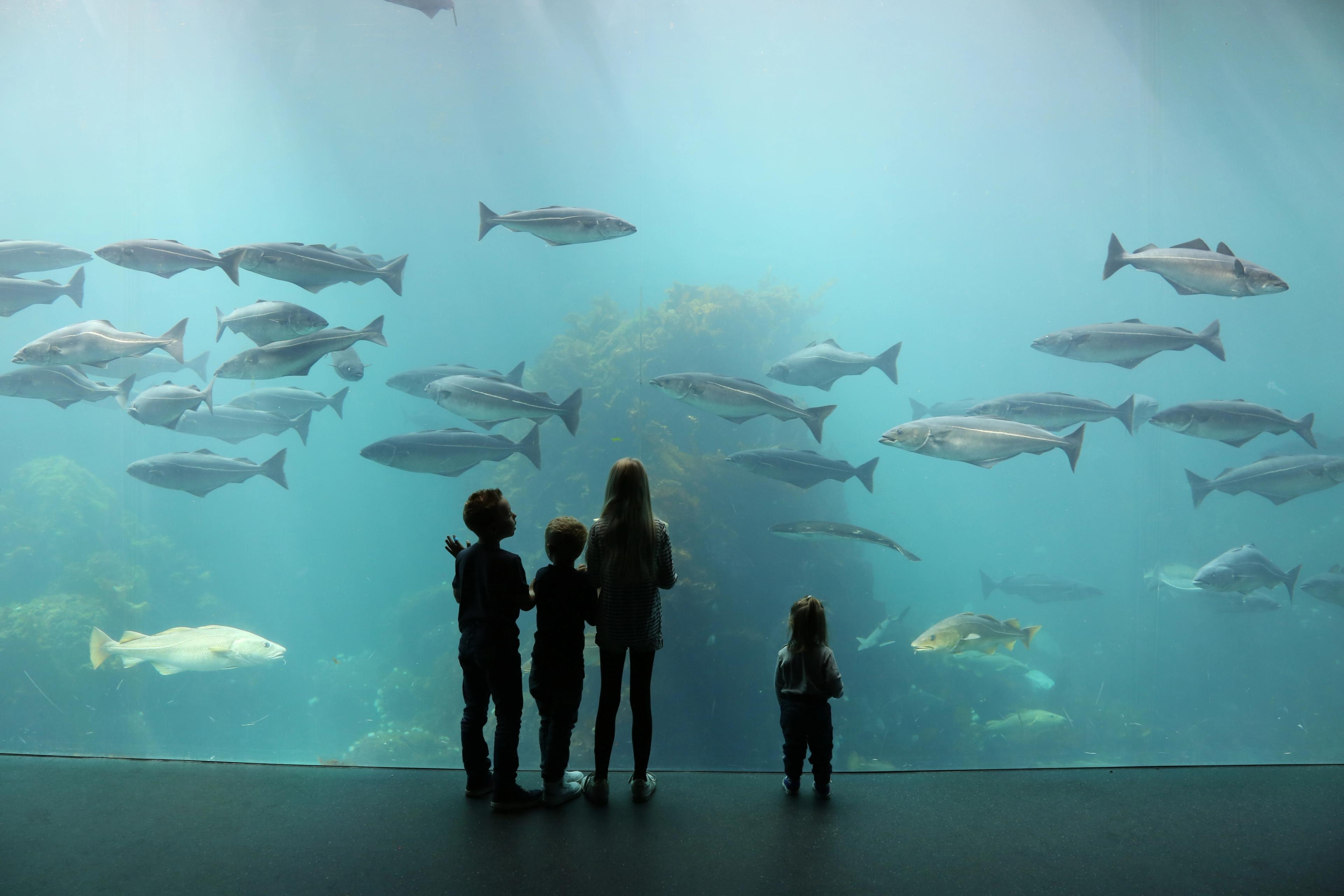 Children in Atlanterhavsparken in Ålesund