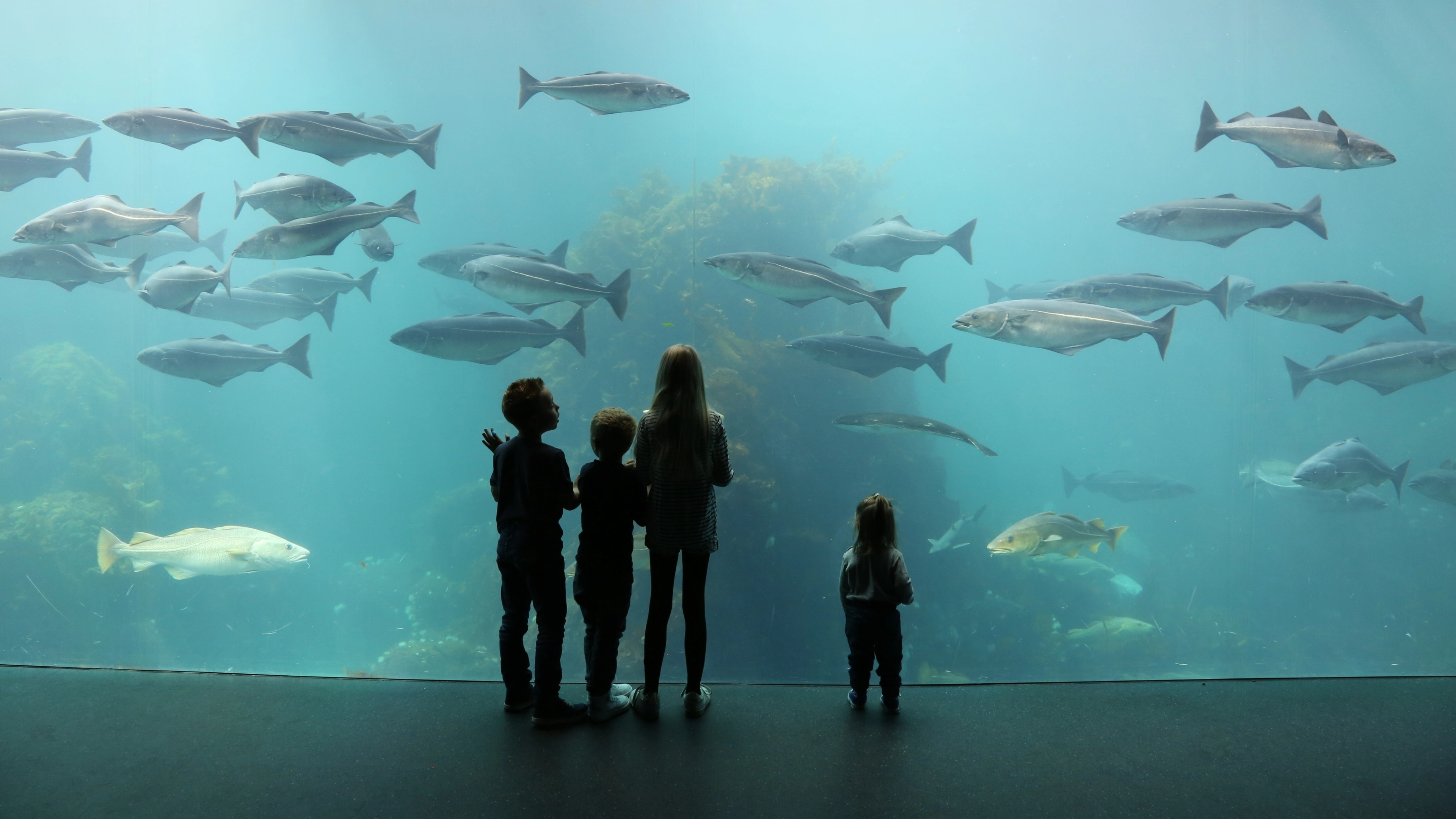 Children in Atlanterhavsparken in Ålesund