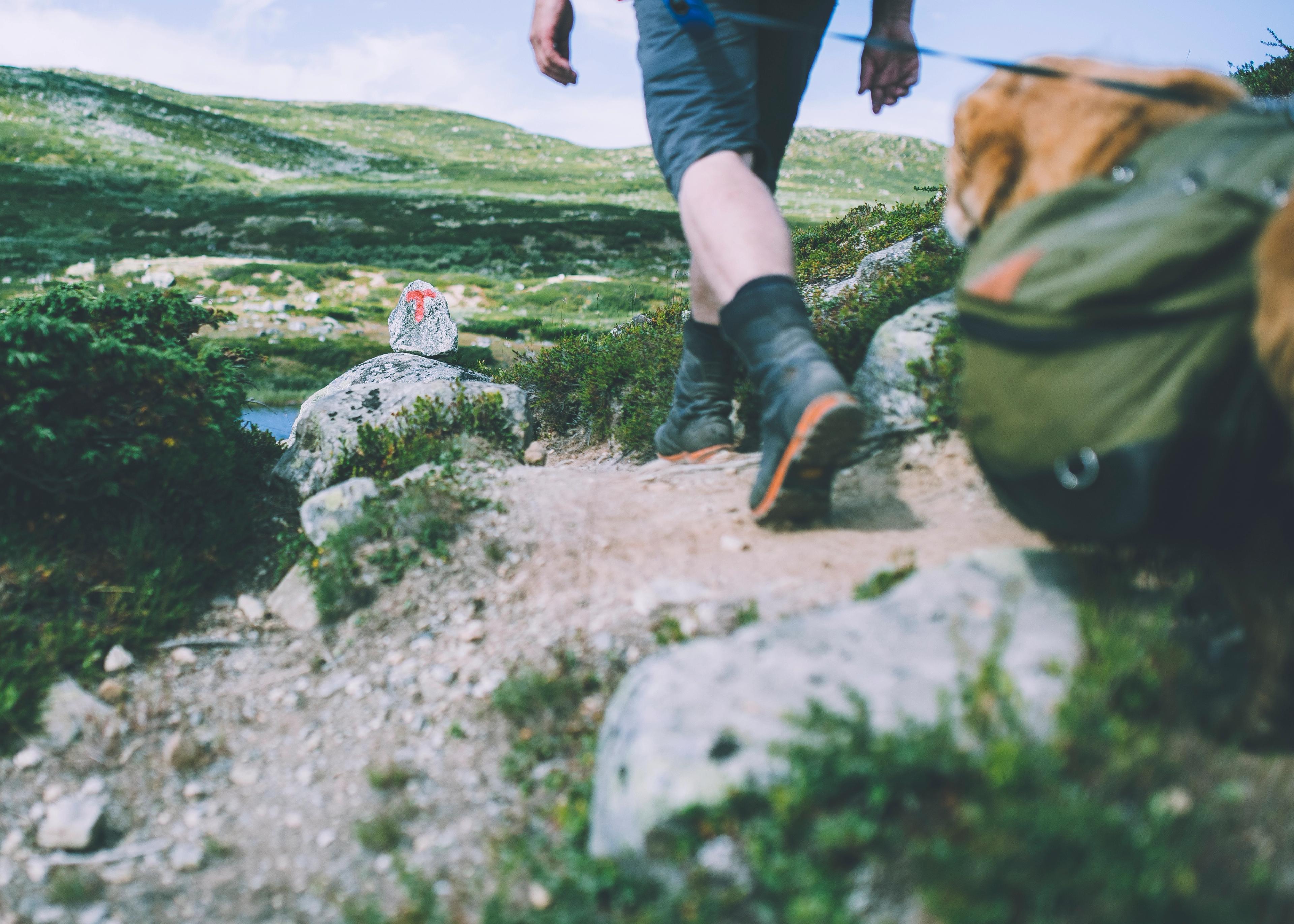 Person hiking at Hardangervidda, Eastern Norway