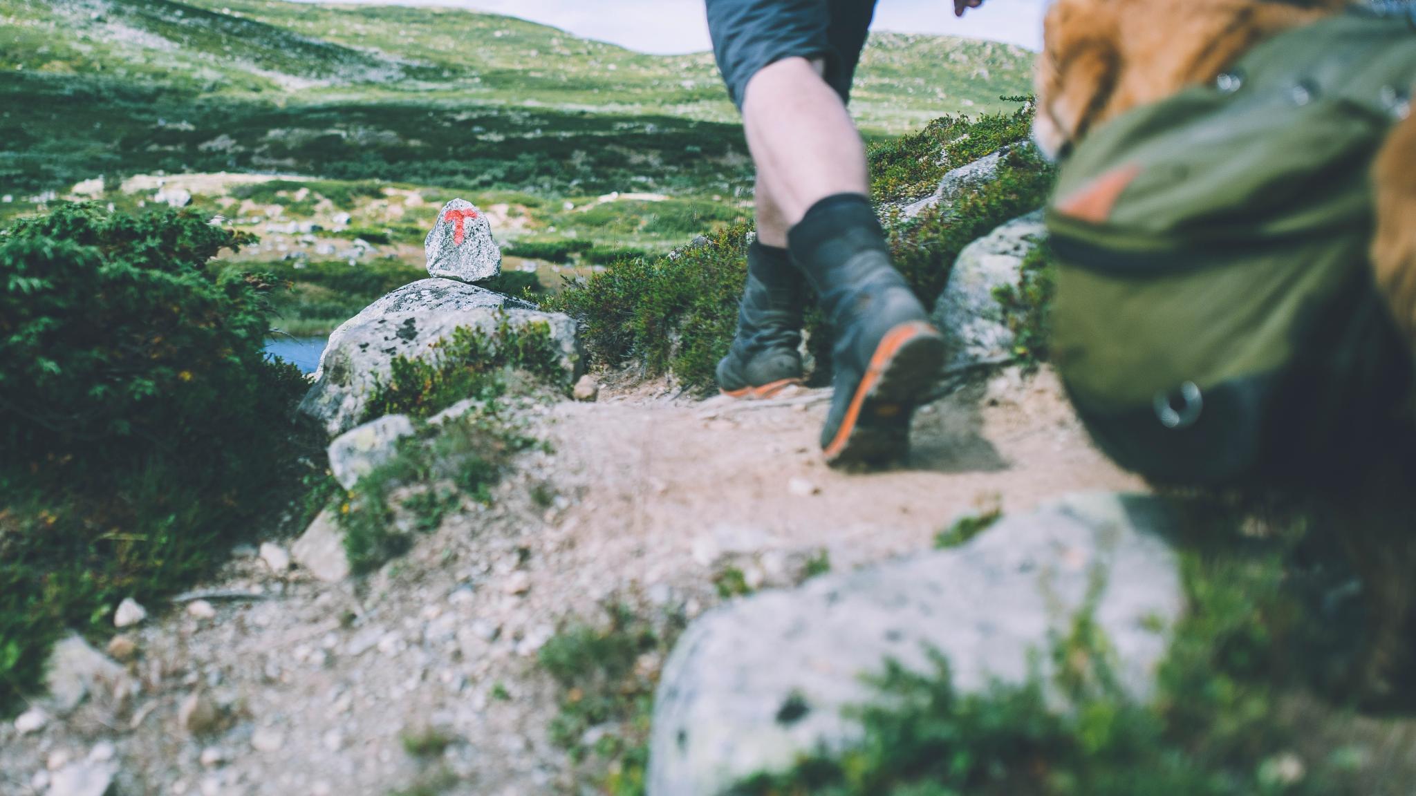 Person går på tur over Hardangervidda