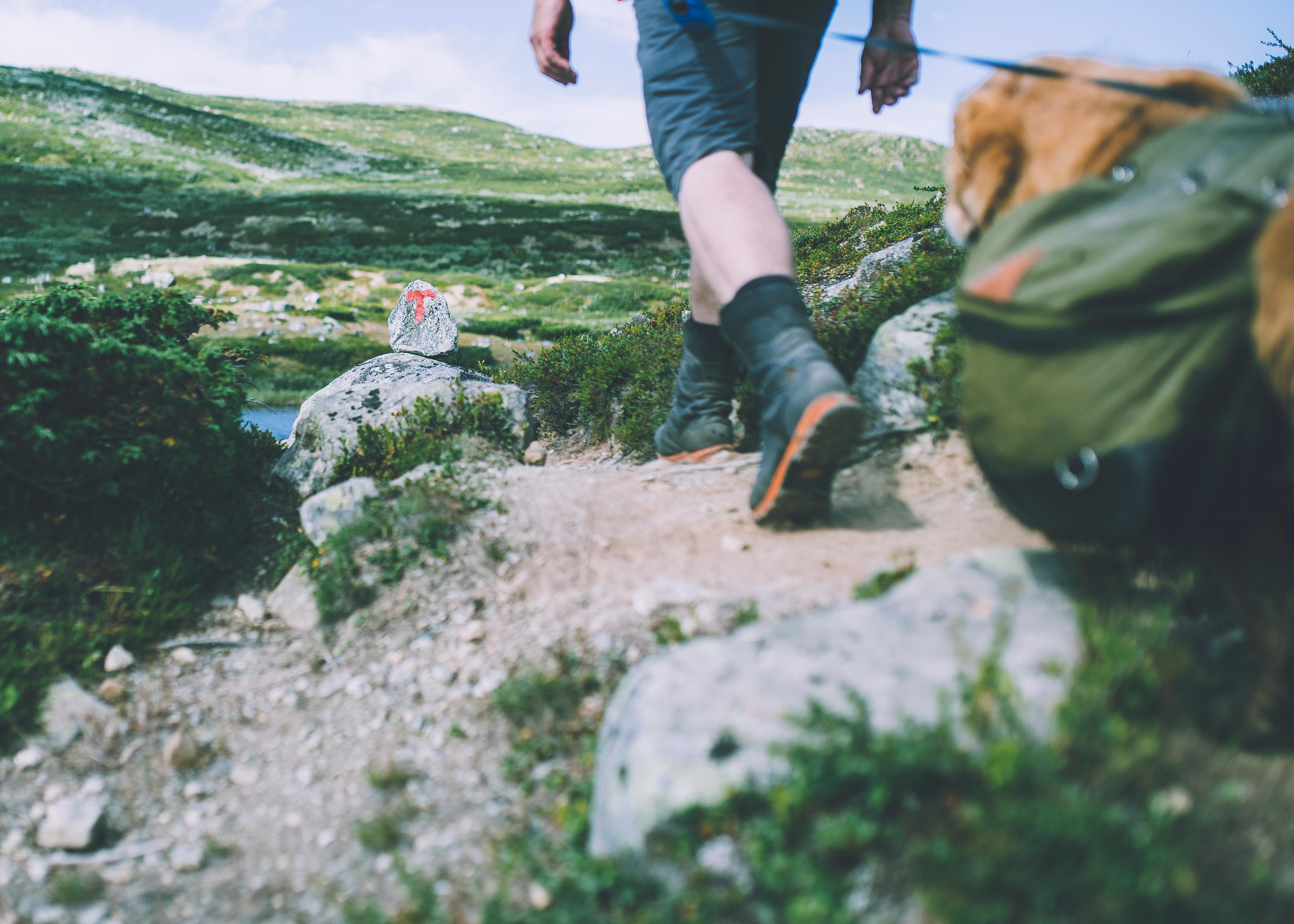 Person hiking at Hardangervidda, Eastern Norway