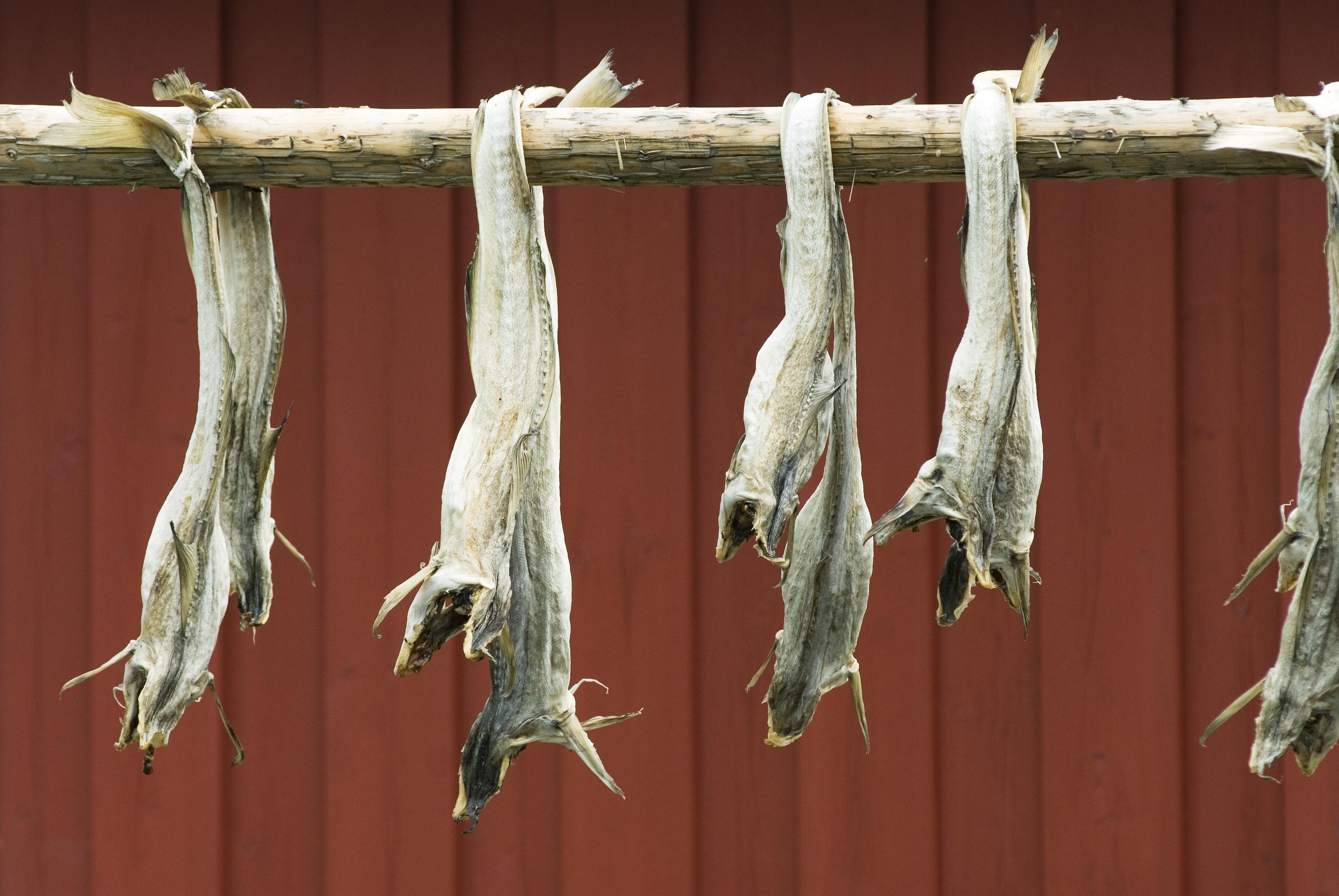 Stockfish in Norway.