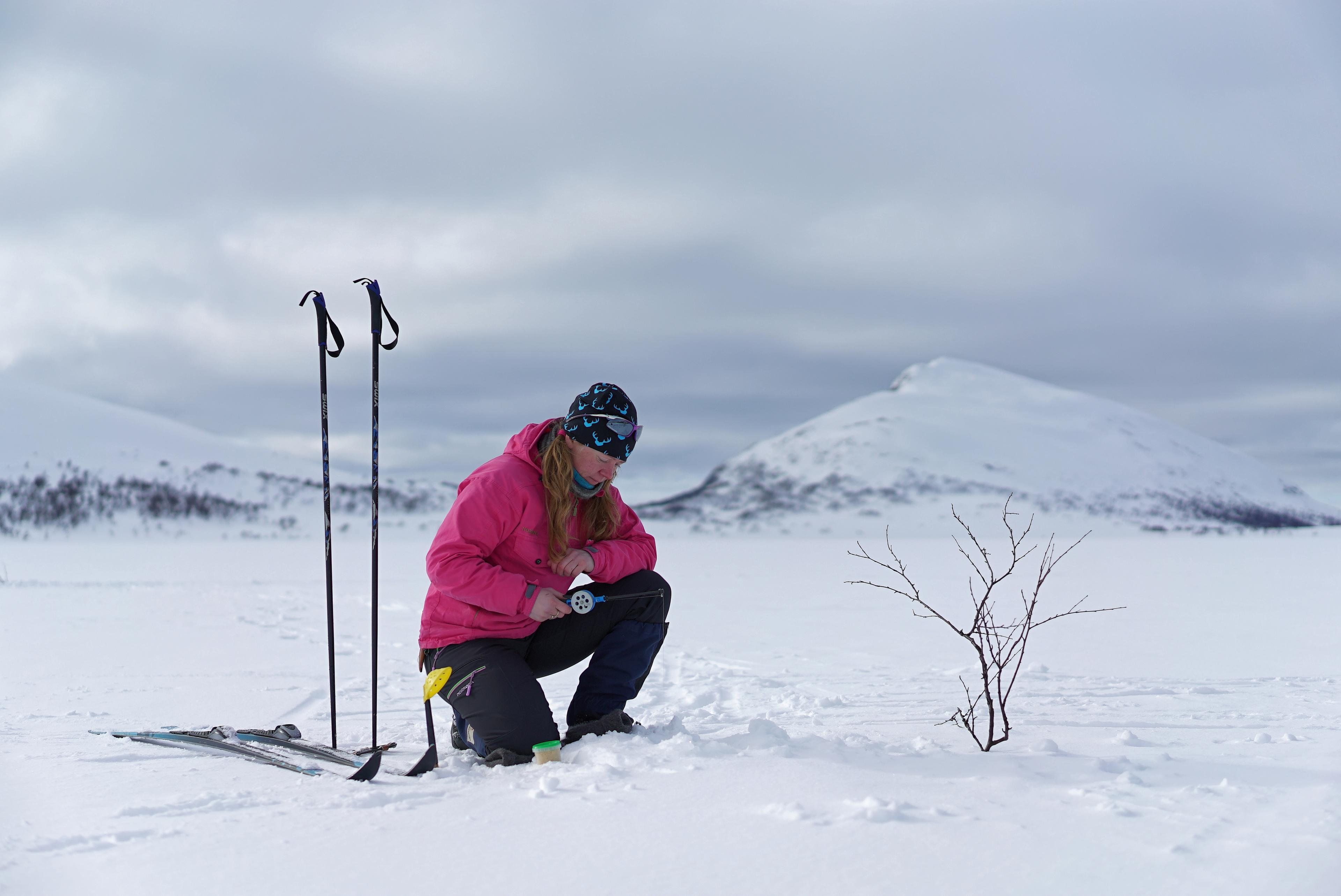 En dame isfisker i Lierne nasjonalpark i Namdalen, Trøndelag