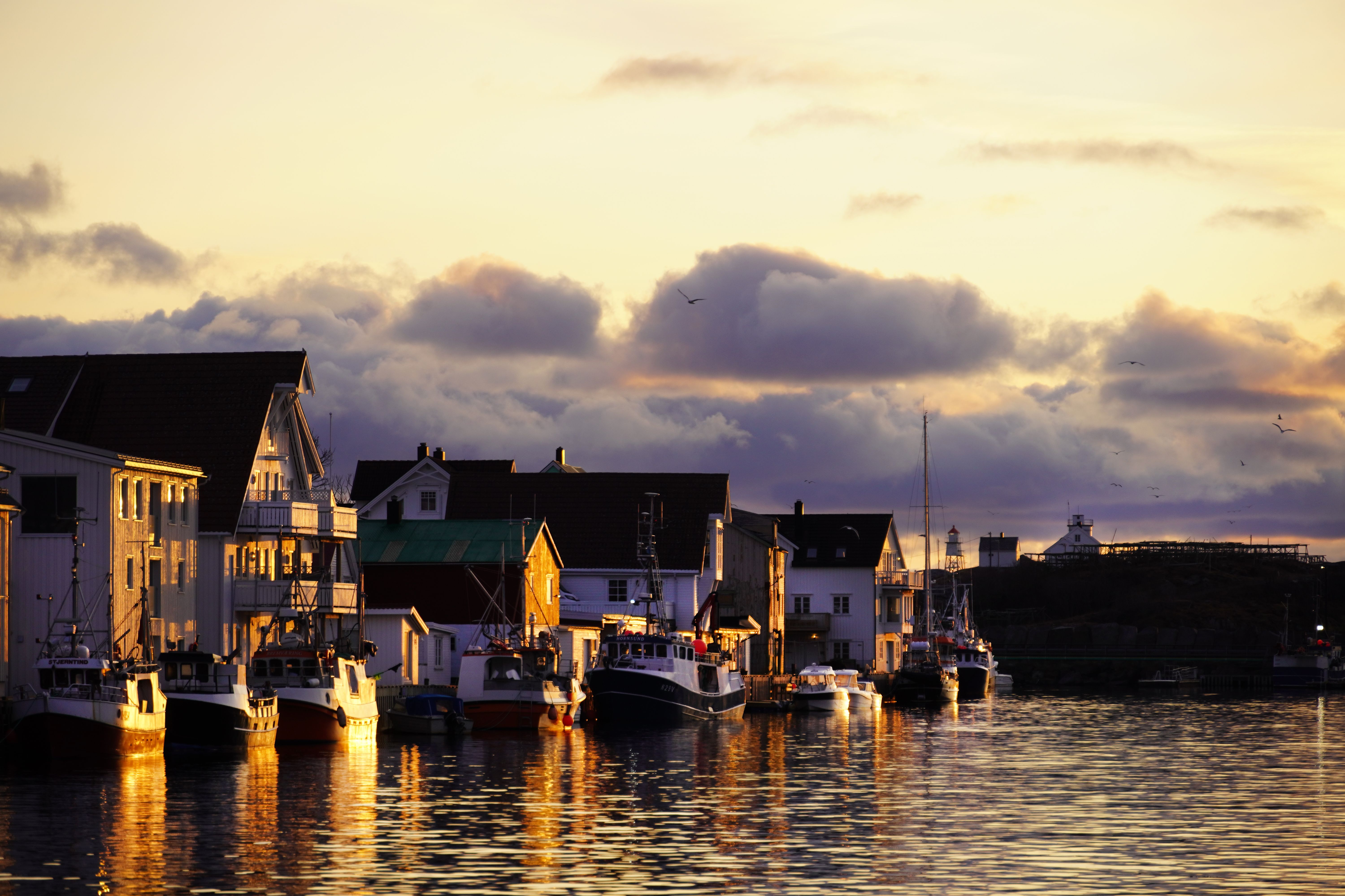 Tree houses by the sea in Henningsvær in Lofoten.