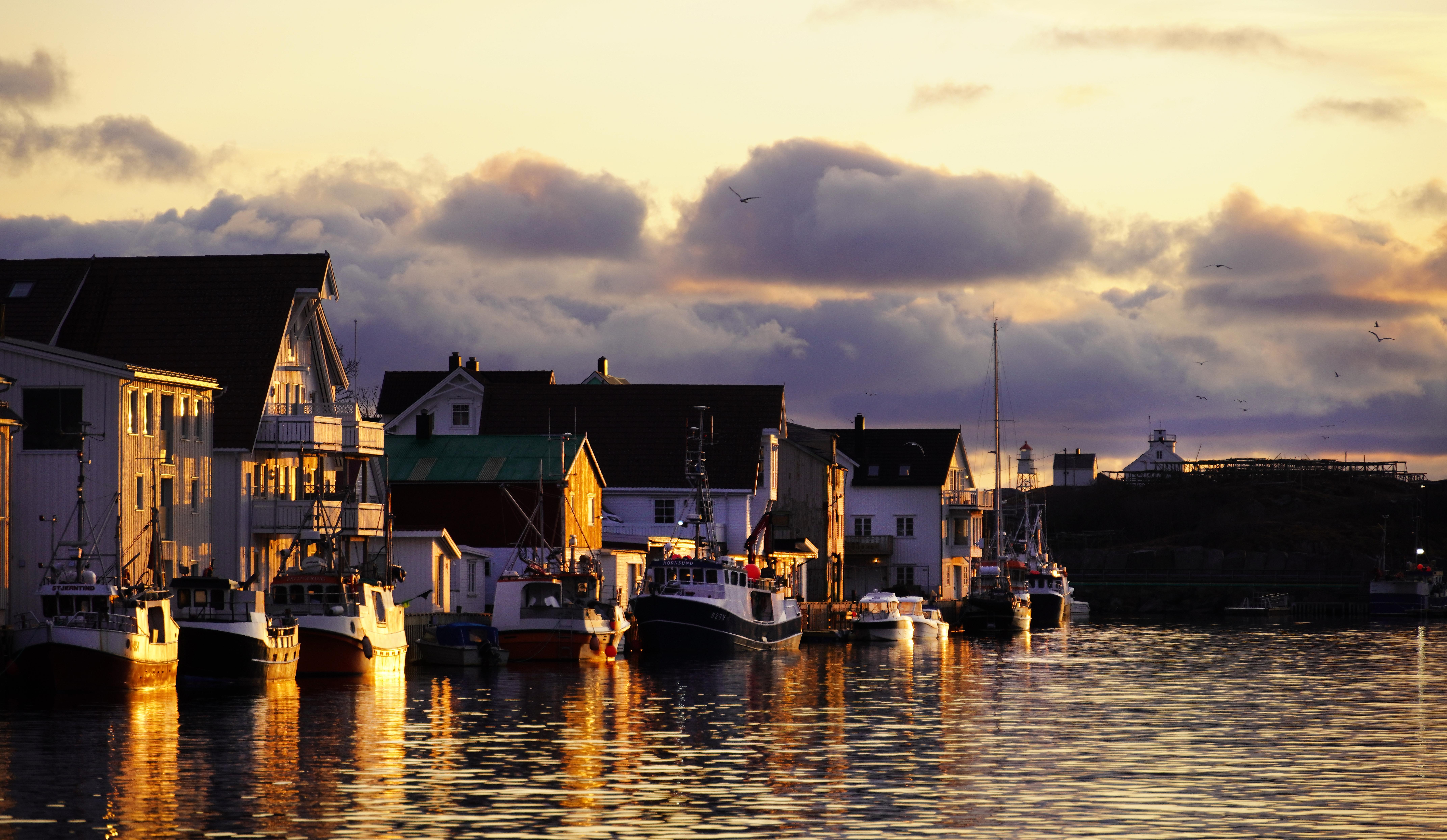 Tree houses by the sea in Henningsvær in Lofoten.