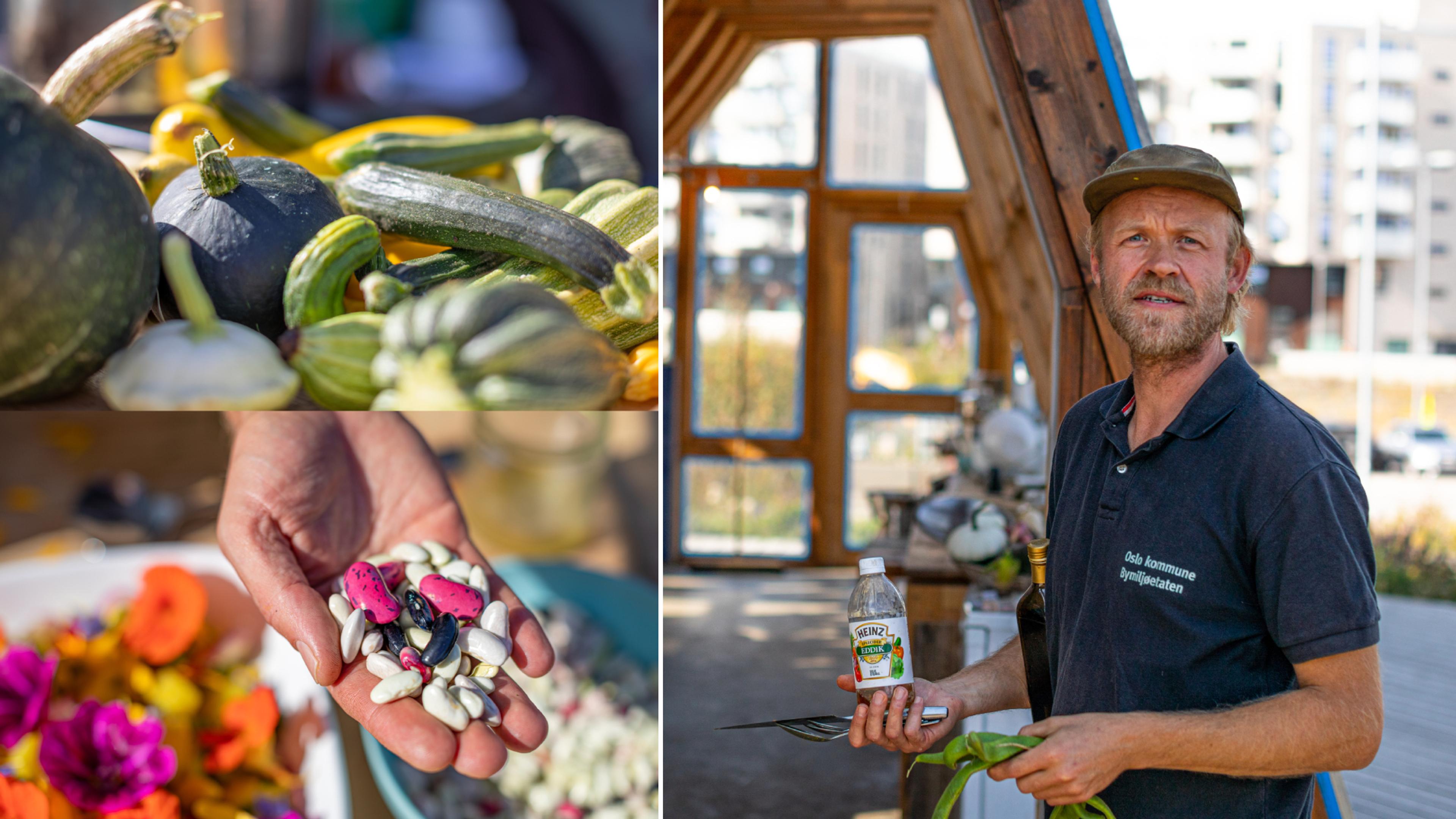 Bonden Øystein på Losæter i Oslo