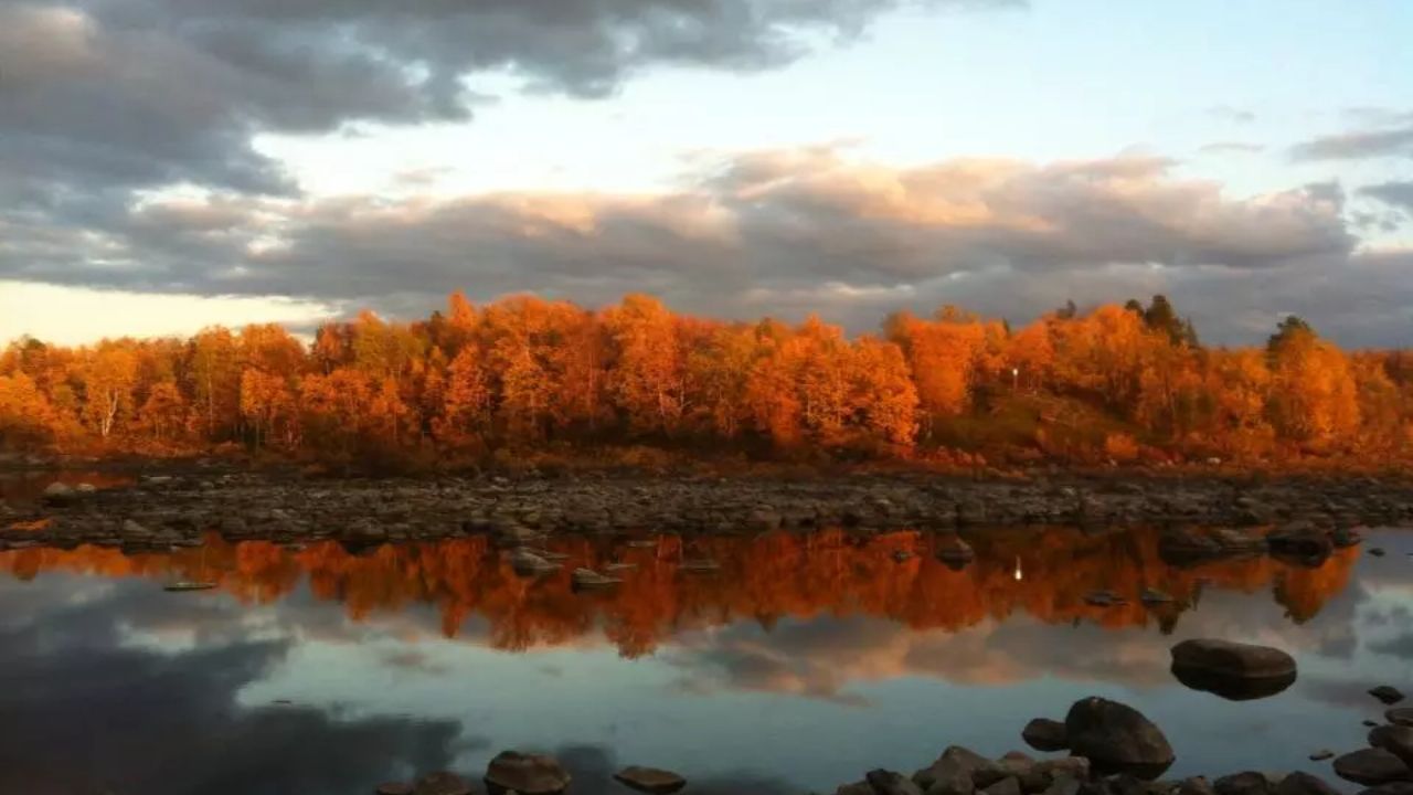 The river in Pasvik Valley in autumn
