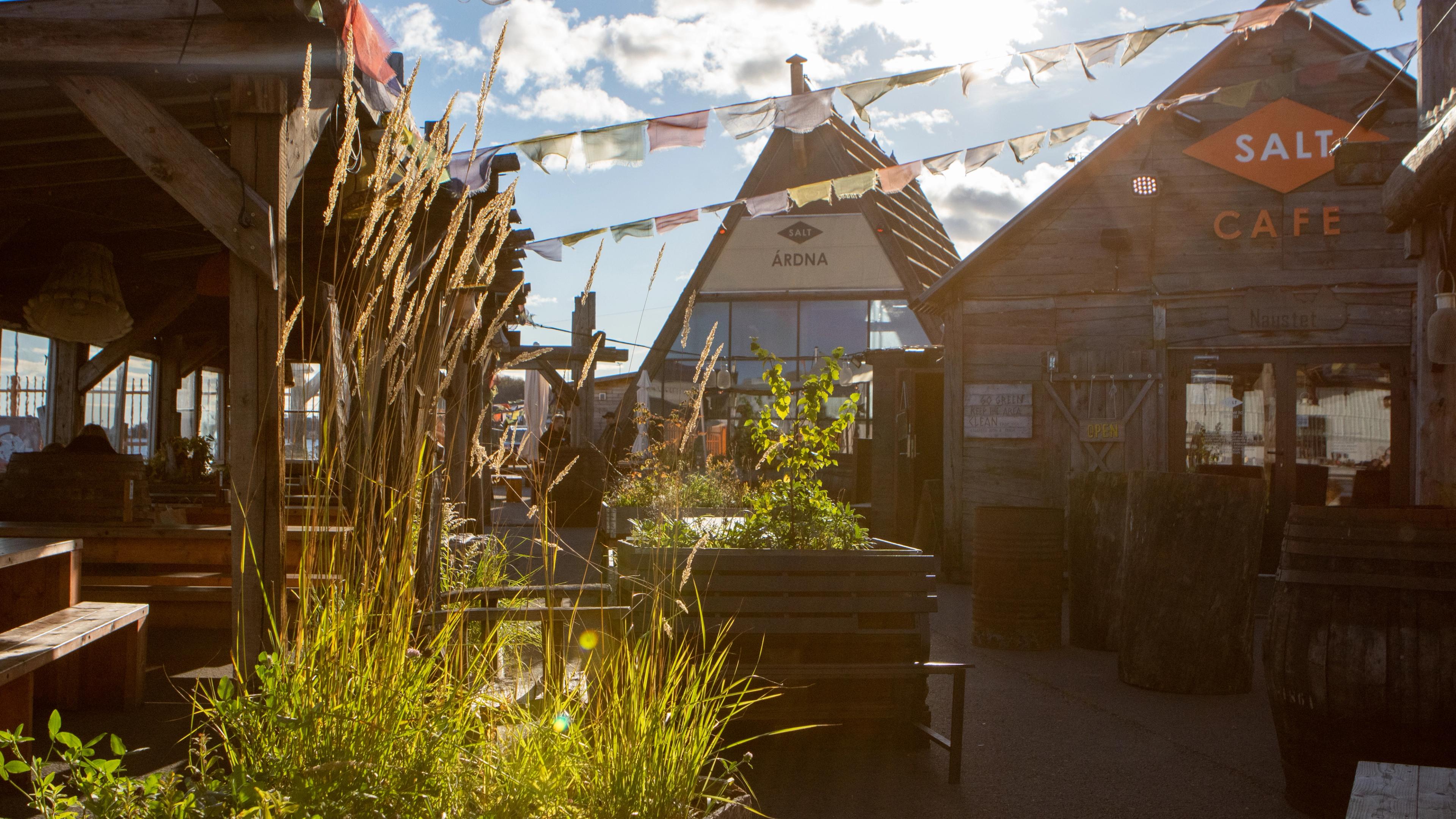 The Salt culture arena