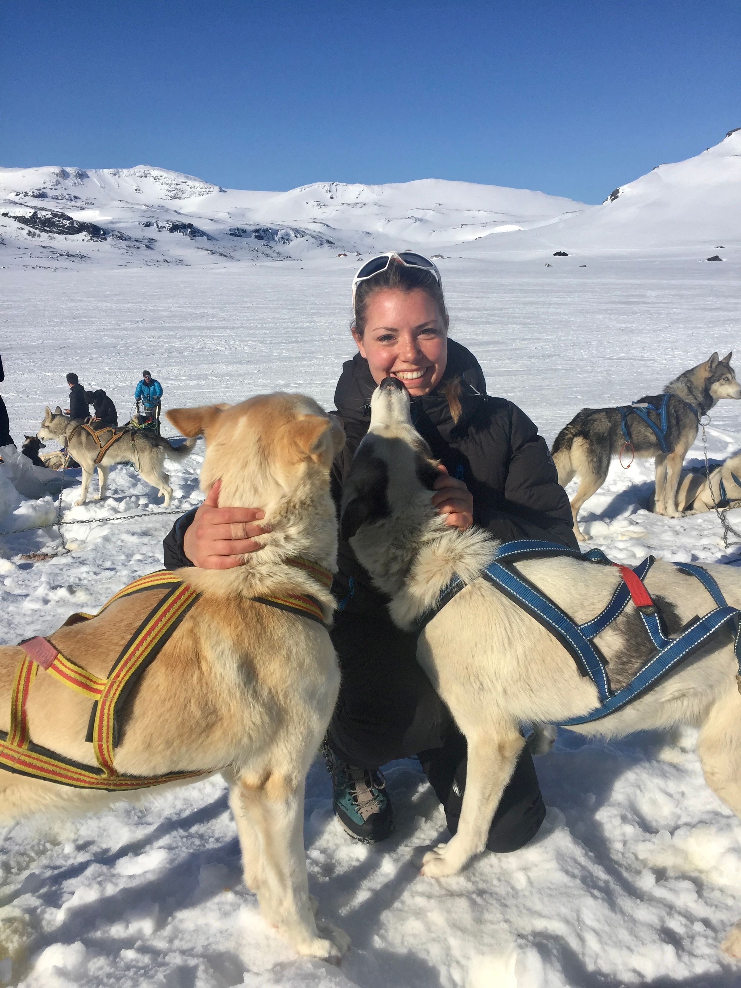 Woman petting the huskies before dog sledding at Finse