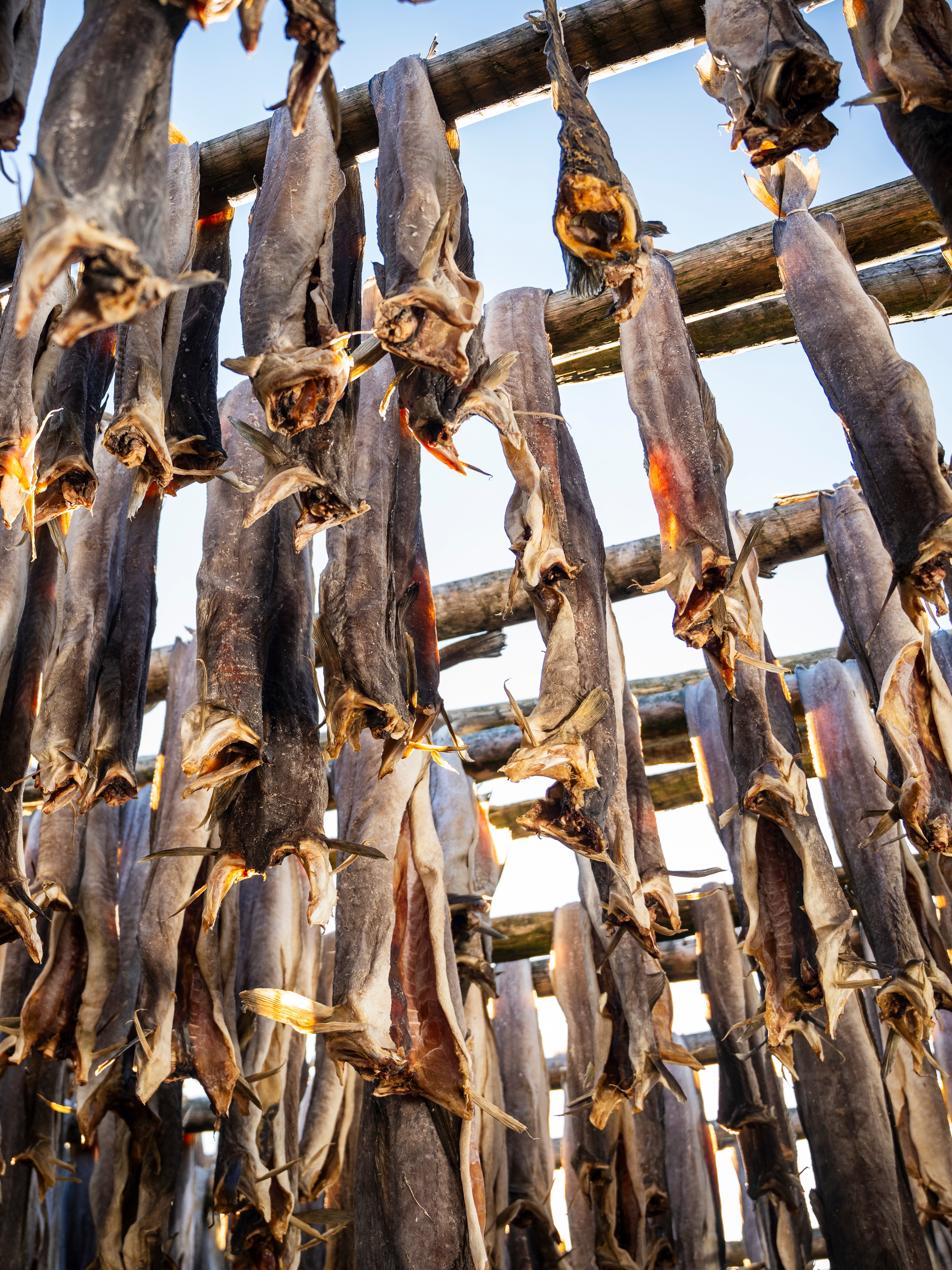 Stockfish of skrei