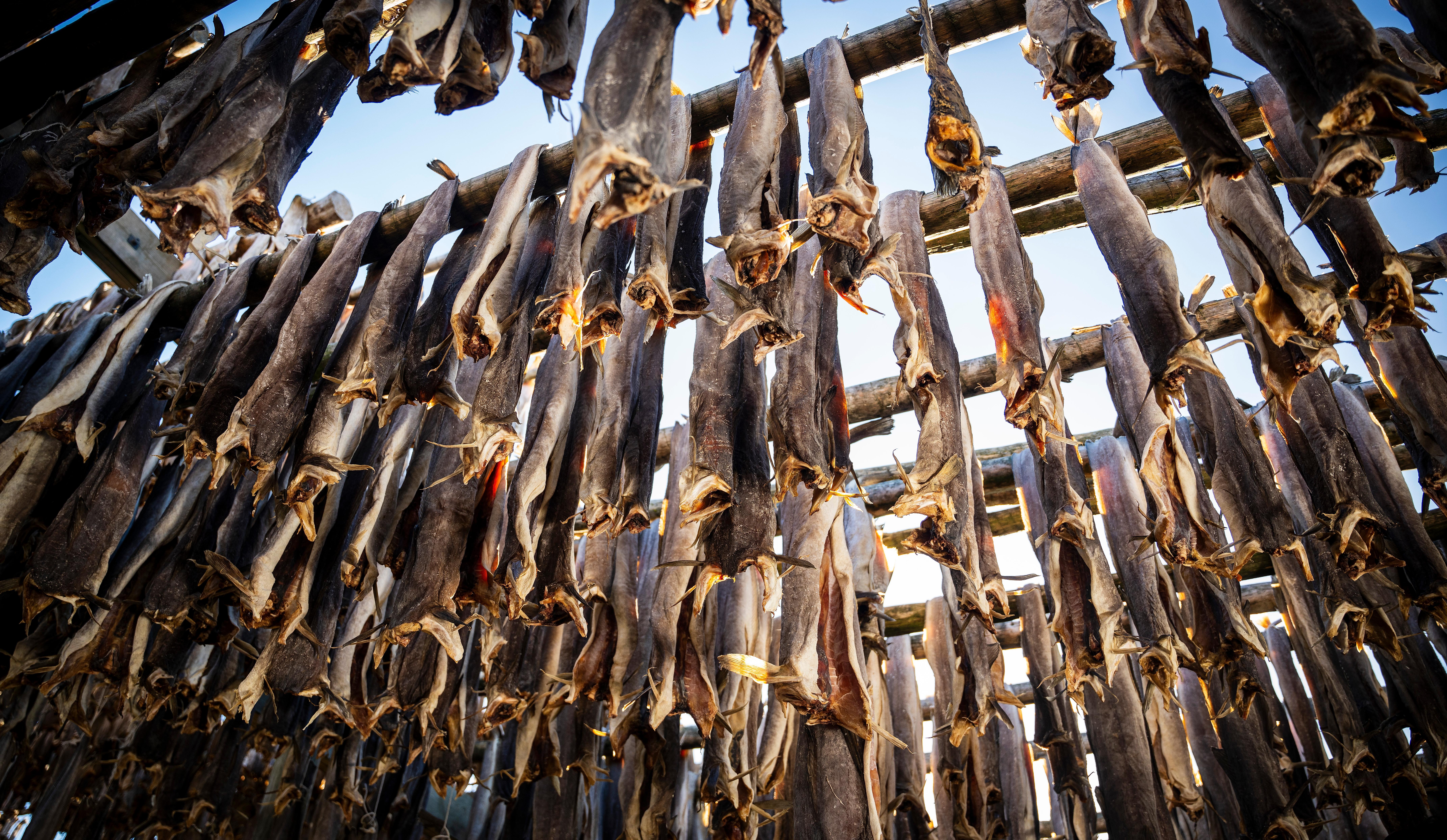 Stockfish of skrei