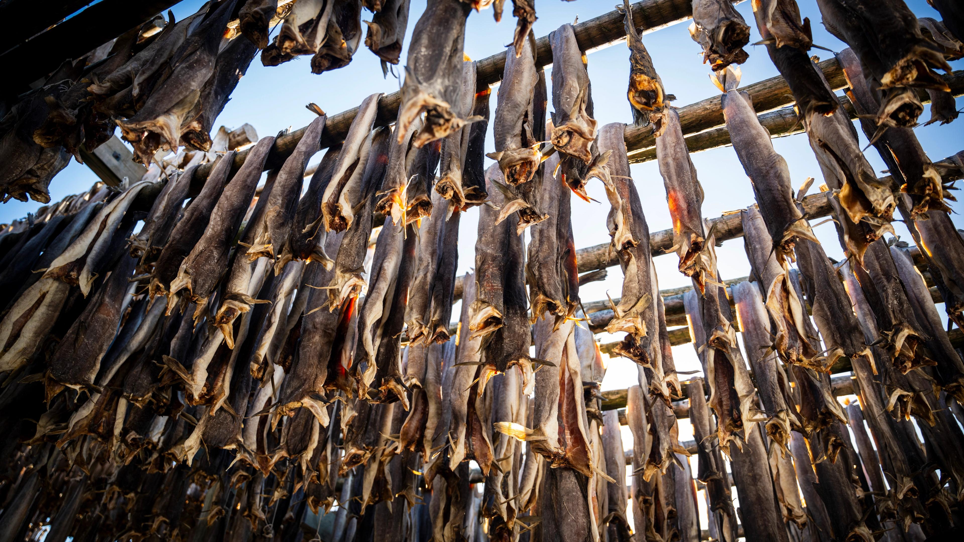 Stockfish of skrei