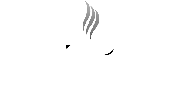 invisacook logo