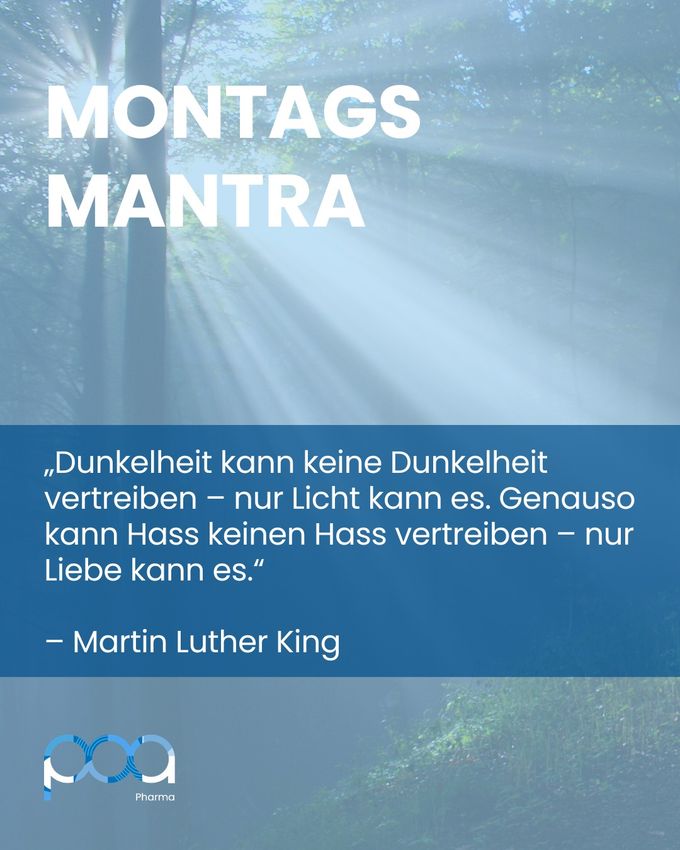 Montagsmantra-Grafik mit einem Martin-Luther-King-Zitat über Licht und Liebe vor einem sonnendurchfluteten Wald