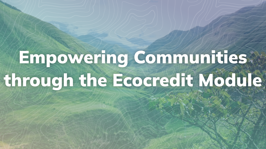 Empowering Communities in Ecuador through the Ecocredit Module