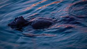 Buoyancy