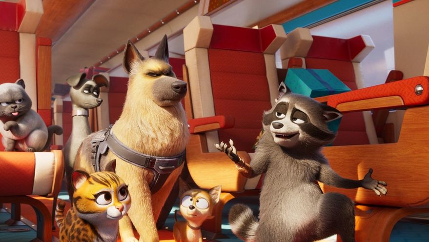 Pets on a Train