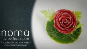 Noma: My Perfect Storm