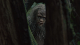 Sasquatch Sunset