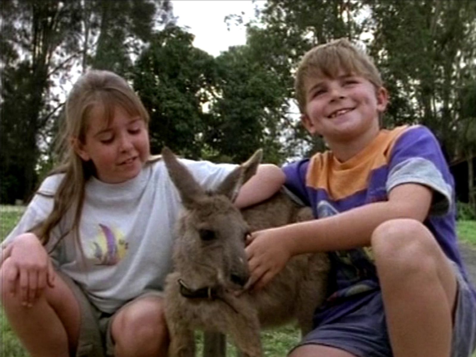 The Adventures of Skippy (TV Series)