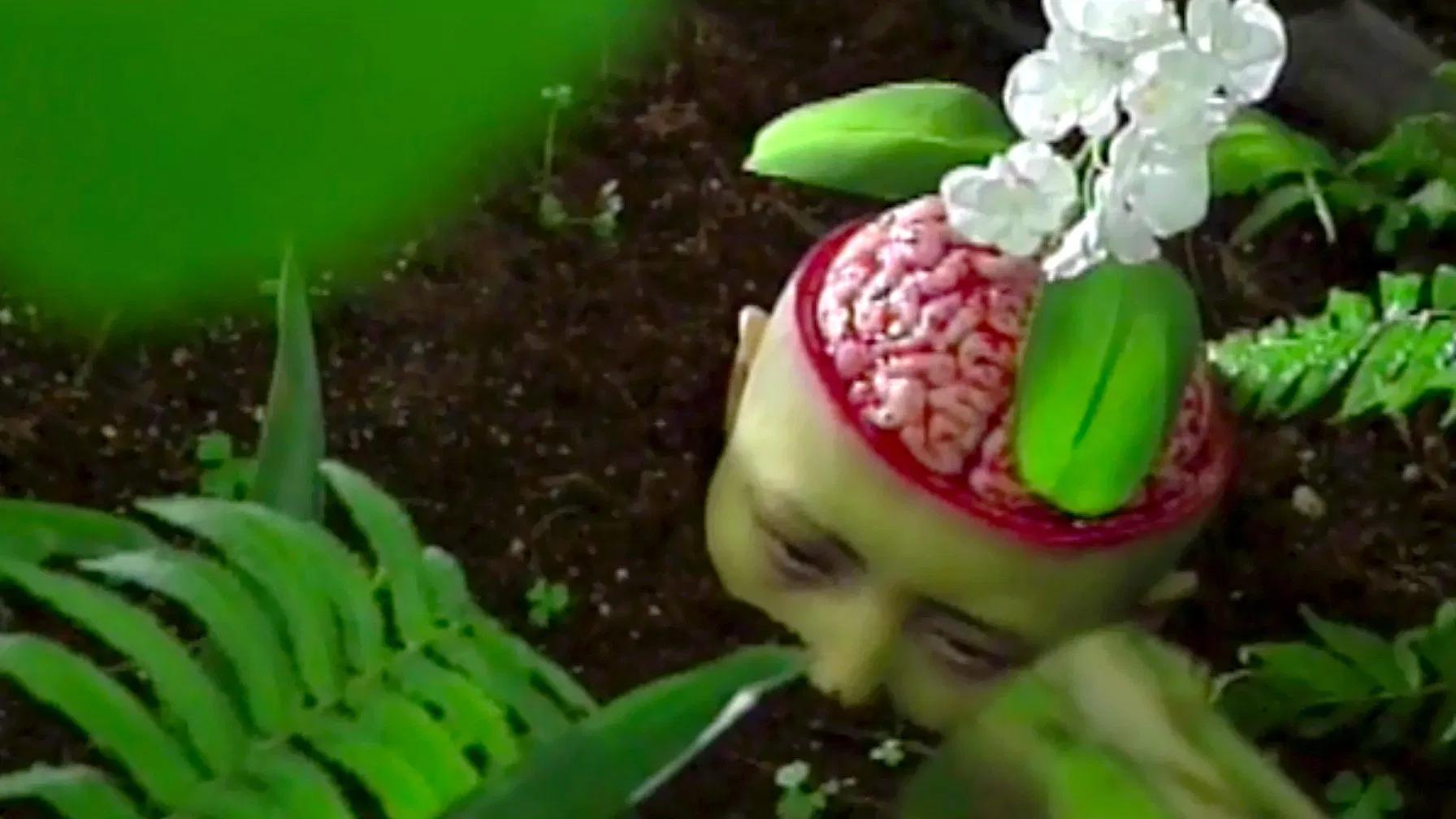 MPD Psycho (TV Series)