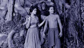 Jungle Book