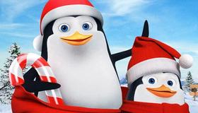 Penguin Land