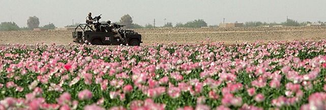 Harvest of Hate