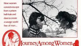 Journey Among Women