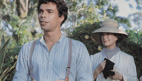 The Mango Tree
