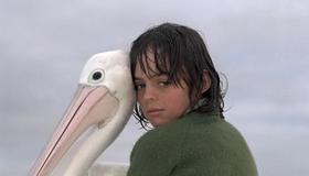 Storm Boy