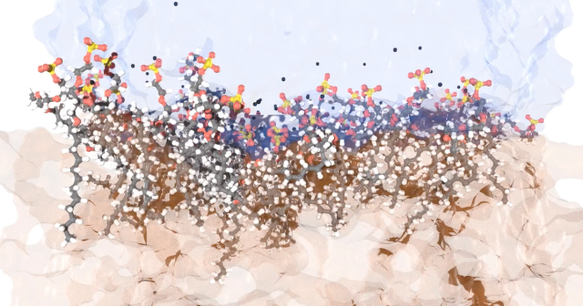 Video_InterfacialTension-01