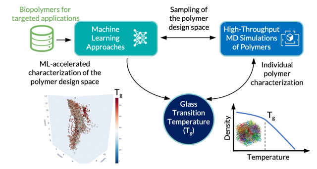 Figure_Predicting_biopolymers