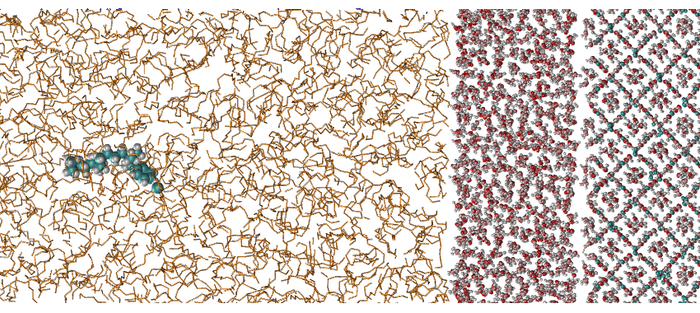 Nextmol_paper_QLL-adsorption