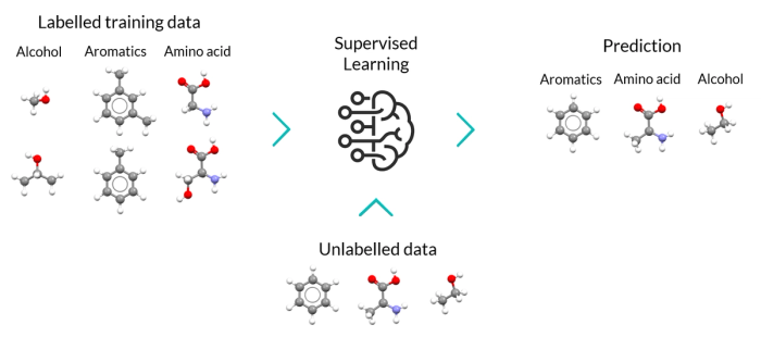 Nextmol_supervised_learning-b