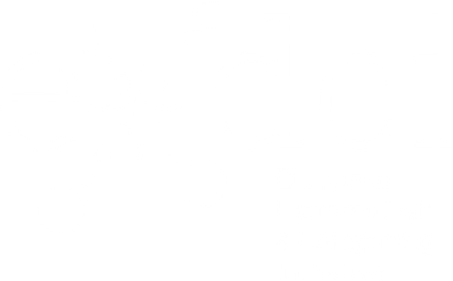 logo_EXDCI